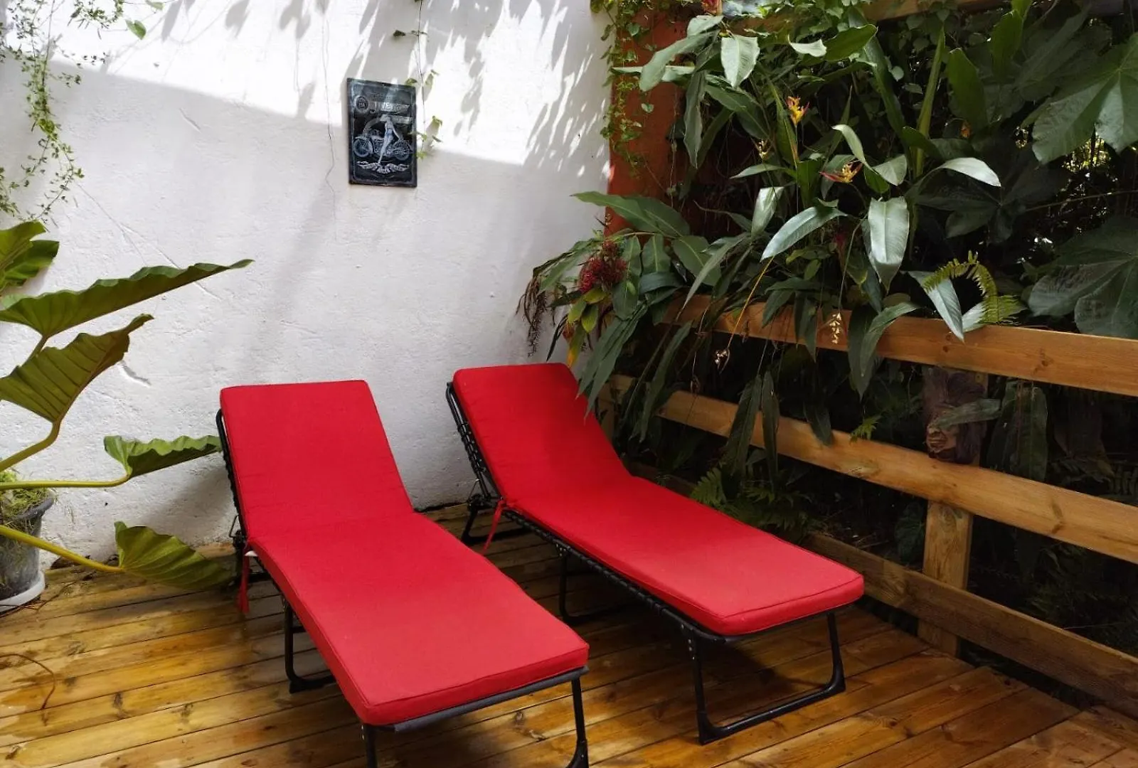 Le Long Island Apartment Riviere-Pilote Martinique